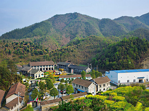 热烈祝贺球速在线网站正式上线！